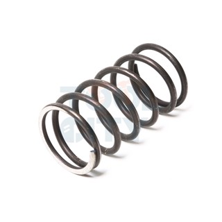 KARCHER (คาร์เชอร์) HELICAL SPRING