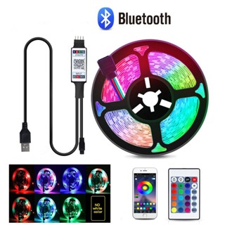 เทปไฟ Led RGB 5V 10M RGB บลูทูธ 5 เมตร ยืดหยุ่น สําหรับทีวี เดสก์ท็อป