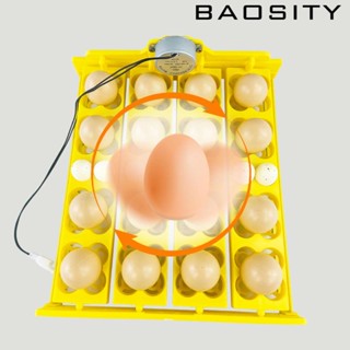 [Baosity] ถาดฟักไข่ อุปกรณ์เสริม สําหรับไก่