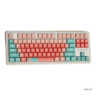 Aod ปุ่มกดคีย์บอร์ด ธีมแตงโม 132 คีย์ XDA PBT 5 ด้าน ​ปุ่มกดคีย์บอร์ด