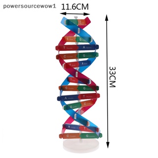 Wow โมเดลของเล่นวิทยาศาสตร์ DNA แบบเกลียวคู่ เสริมการเรียนรู้เด็ก