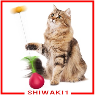 [Shiwaki1] ของเล่นลูกบอลออกกําลังกาย สําหรับสัตว์เลี้ยง แมว ลูกสุนัข ลูกแมว