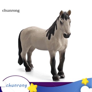 Chunrong โมเดลม้า เพื่อการเรียนรู้ สําหรับเด็ก