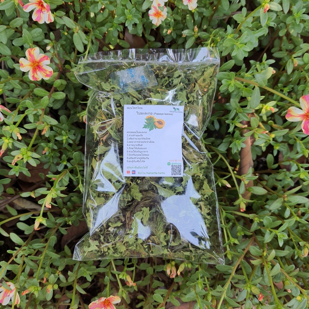 ใบมะละกอ (Papaya leaves) ออร์แกนิค อบแห้ง ขนาด 50และ100กรัม ชาสมุนไพร คัดเกรดคุณภาพดี ปลอดสาร สินค้าคุณภาพพร้อมส่ง