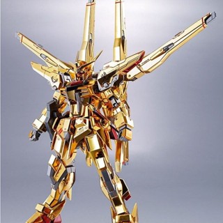 โมเดลฟิกเกอร์ Shiranui Knows the Fire Big Eagle Xiaofo Xiaogaoda Hg1/144 ของเล่นสําหรับเด็ก