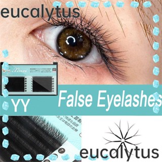 Eucalytus1 ขนตาปลอม ติดทนนาน DIY