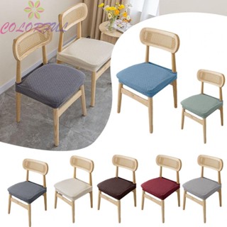 【COLORFUL】Chair Cover Anti-pilling Anti-wrinkle Elastic Chair Cover Non-slip Simple