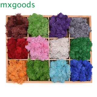 Mxgoods มอสมอสประดิษฐ์ ขนาดเล็ก สีเขียว สําหรับตกแต่งบ้าน ห้องนั่งเล่น DIY