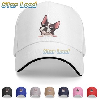 Lf3y 【พร้อมส่ง】มาใหม่ หมวกเบสบอล ผ้าฝ้าย ลาย Boston Terrier Dog ปรับได้ สําหรับผู้ชาย ผู้หญิง