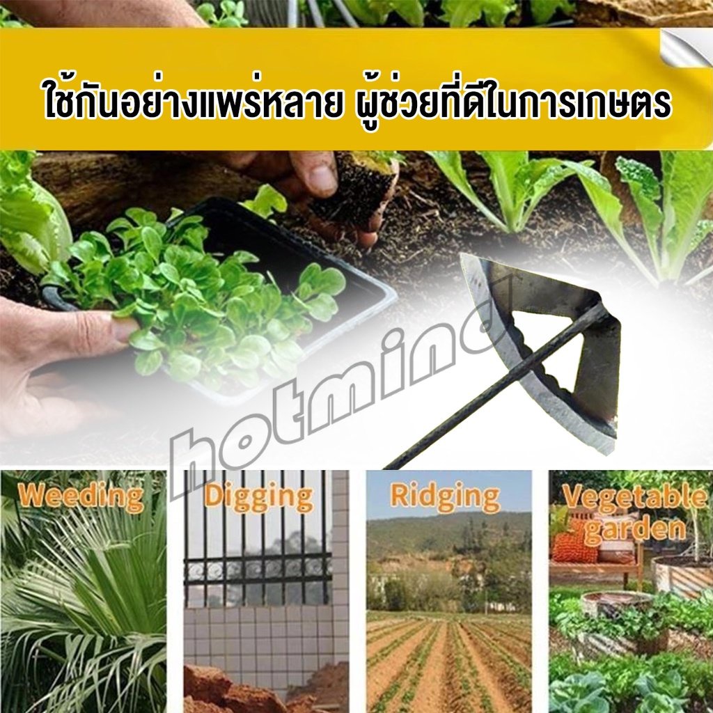 HD จอบถางหญ้าในแปลงผัก ส่วนหย่อม จอบพรวนดิน จอบมินิ รูปที่ 3