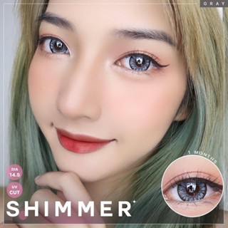 WinkWow Shimmer Eff.19 Gray ใหญ่