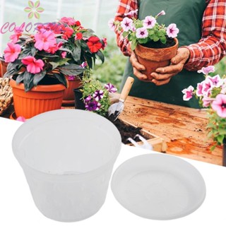 【COLORFUL】Orchid Pots 5 Inch Clear Container Flower Indoor Outodoor Plant Saucers Slotted