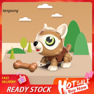 Tang_ หุ่นยนต์สุนัขเดินไฟฟ้า ทนทาน พร้อมรีโมตคอนโทรล ของเล่นสําหรับเด็ก