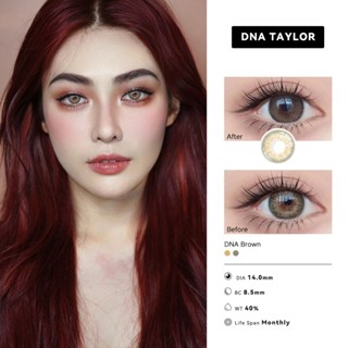 MIDROO แว่นตาสายตาสั้น คอนแทคเลนส์ คอนแทคเลนส์สี Taylor Brown บิ๊กอาย น้ำตาล เทา เขียว Lens