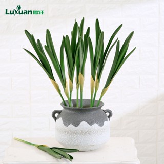 ใบผักตบชวาจําลอง diy อุปกรณ์เสริม สําหรับตกแต่งผนังบ้าน