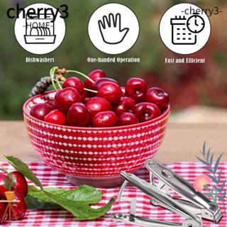 Cherry3 อุปกรณ์สเตนเลส อเนกประสงค์ ลายเชอร์รี่ มะกอก สีเงิน สําหรับใช้ในชีวิตประจําวัน 2 ชิ้น