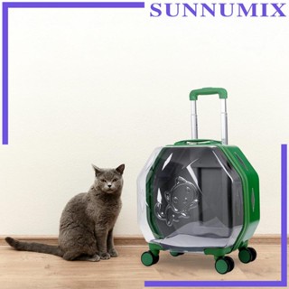 [Sunnimix] กระเป๋าเป้สะพายหลัง กระเป๋าถือ ระบายอากาศ แบบพกพา สําหรับสัตว์เลี้ยง สุนัข แมว ตั้งแคมป์ เดินกลางแจ้ง