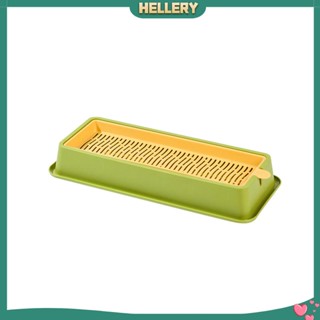 [HelleryTH] ถาดปลูกข้าวสาลี สําหรับปลูกพืช เรือนกระจก ทําสวน