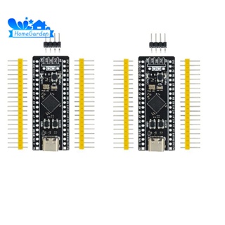 บอร์ดทดลอง STM32F401 STM32F401CCU6 V3.0 STM32F4 2 ชิ้น