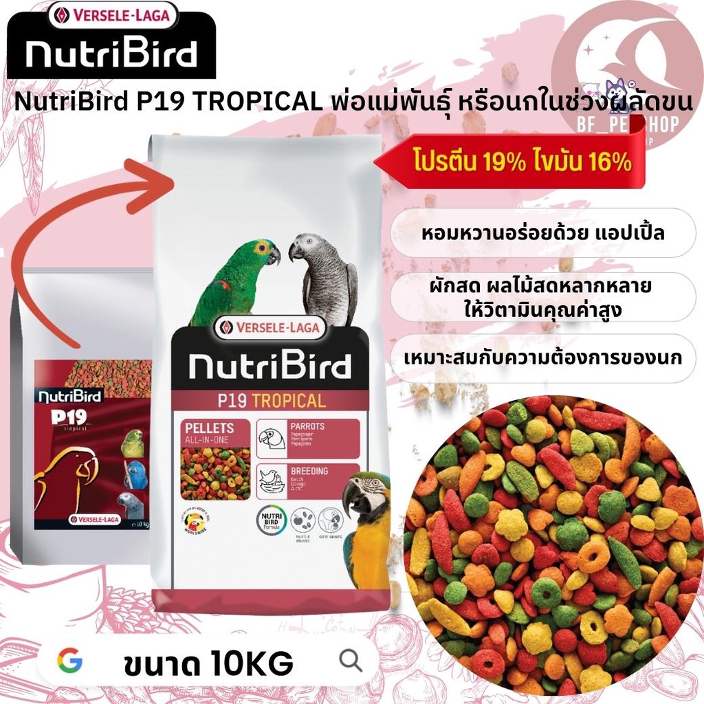 NutriBird P19 tropical 10kg (อาหารเม็ดสำเร็จรูป นกปากขอเตรียมความพร้อมเป็นพ่อแม่พันธุ์หรือผลัดขน)สุด