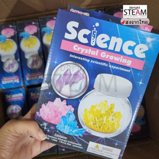 ของเล่น STEM ของเล่นวิทยาศาสตร์ ส่งจากไทย มีแพคเกจจิ้ง DIY