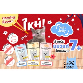 Cats Taste อาหารแมว แคทสเทส สูตรสำหรับแมวสูงวัย 7+ ขนาด 70g x 12 ซอง