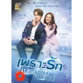 DVD เพราะรัก (Because of Love) 18 ตอนจบ (เสียง ไทย | ซับ ไม่มี) DVD