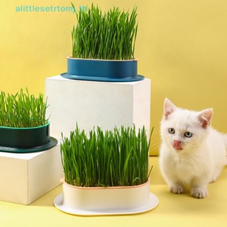 กล่องหญ้าเทียม สีตัดกัน สําหรับแมว