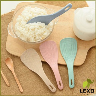 LEXO ทัพพีตักข้าว ข้าวไม่ติดทัพพี ทำจากฟางข้าวสาลี   wheat straw spoon