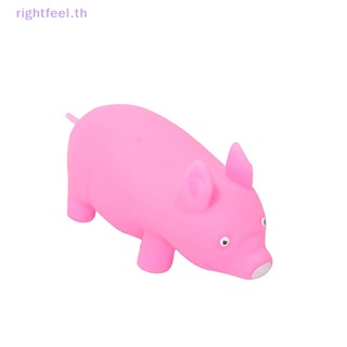 Rightfeel.th ของเล่นบีบสกุชชี่ รูปหมู สุนัข คลายเครียด 1 ชิ้น