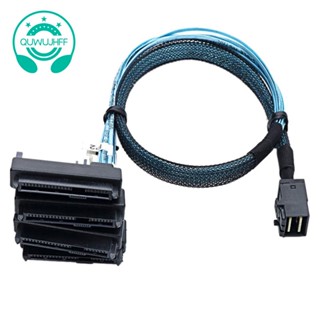 สายเคเบิลเซิร์ฟเวอร์ฮาร์ดดิสก์ Mini SAS SFF-8643 เป็น 4X29Pin SFF-8482 3.33TF 1 เมตร