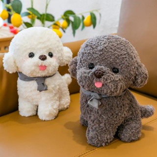 ตุ๊กตาสุนัขเท็ดดี้ Bichon น่ารัก ตุ๊กตาของเล่นจําลอง ตุ๊กตาลูกสุนัข ของเล่นเด็ก ของขวัญ Ragdoll