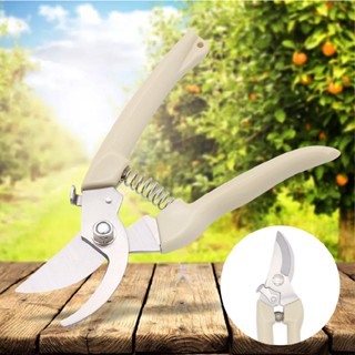 New Fruit Tree Branch Pruner Thick Branch Potted Shears Garden Pruning Scissors