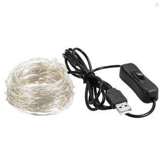 Zot สายไฟ Led 100 ดวง 393 นิ้ว USB IP65 กันน้ํา สีขาวอบอุ่น สําหรับคริสต์มาส งานแต่งงาน ในร่ม กลางแจ้ง