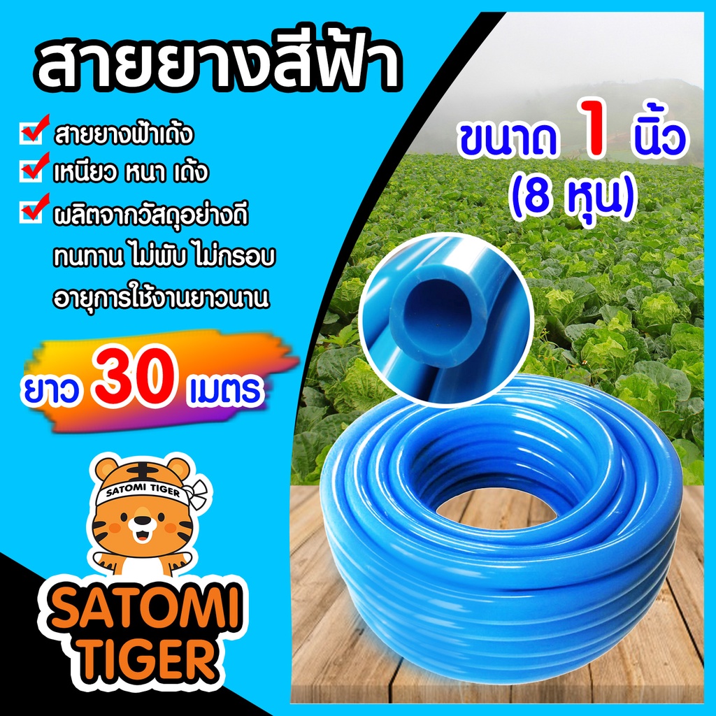 สายยางสีฟ้า ขนาด 1 นิ้ว(8หุน) ยาว 30 เมตร เนื้อยางเด้ง เกรดA สายยางรดน้ำต้นไม้ ยางอ่อนยืดหยุ่นพิเศษ สายยางฟ้าเด้ง