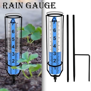 Glass Rain Gauge Outdoor Detachable Rain Gauge with Stake for Garden Lawn Yard