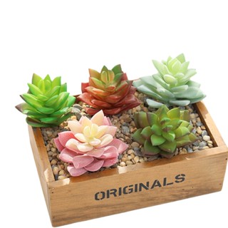 Succulents ดอกไม้ พืชอวบน้ํา สร้างสรรค์ DIY อุปกรณ์ตกแต่งผนัง