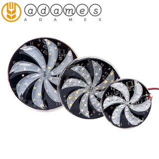 Adames ไฟแฟลช LED DC 12V 6 8 10 ซม. ดัดแปลง สําหรับรถจักรยานยนต์