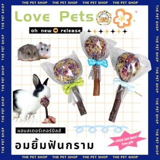 【hamster】พร้อมส่ง!!หนูแฮมสเตอร์กัดฟันเลือกสินค้าแอปเปิ้ลกิ่งไม้ข้าวโพดหวานคุกกี้แกสบี้กระรอกกระต่ายโภชนาการสแน็ค BBT