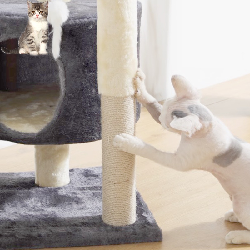  พร้อมส่ง  ที่ลับเล็บแมว เตียงแมว ของเล่นแมว คอนโดแมวคอนโดแมว ที่นอนแมว เสาลับเล็บแมวได้ สูง 55cm