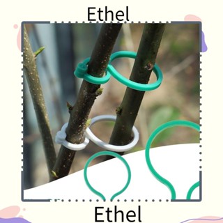 Ethel1 หัวเข็มขัดพลาสติก สําหรับปลูกผัก เถาวัลย์พืช 20 50 100 ชิ้น