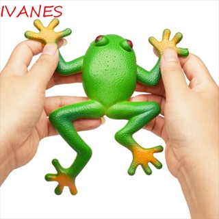 Ivanes โมเดลกบบีบได้ แบบนิ่ม ยืดหยุ่น ของเล่นสําหรับเด็ก และผู้ใหญ่