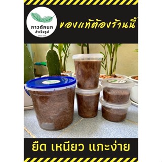 เทปและกาว ส่งฟรี❗️กาวดักนก❌ก้อนใหญ่❌ 300กรัม❌กาวต่อนก ดักหนู ดักแมลง ดักศัตรูพืช ดักแมลงวั
