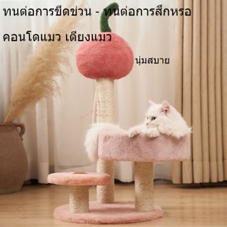 คอนโดแมว เตียงแมว ที่ลับเล็บแมว บ้านแมว เสาลับเล็บ ของเล่นแมว