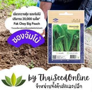 เมล็ดพันธุ์ เขียวกวางตุ้ง 20000เมล็ด ซองจัมโบ้ ตราเจียไต๋ Pak Choy