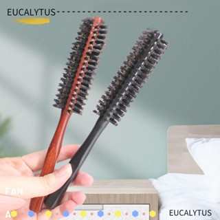 EUTUS หวีผมตรง หวีแปรงธรรมชาติ ป้องกันการผูกปม หวีผมกลม เป่าผม ดัดผม