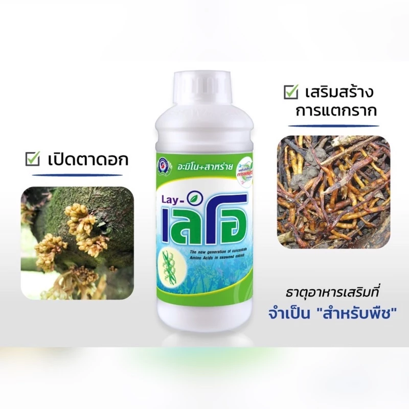 เลโอ 1 ลิตร ฟื้นต้น ทำใบ เปิดตาดอก เร่งราก อะมิโน สาหร่าย กระตุ้นเจริญเติบโต