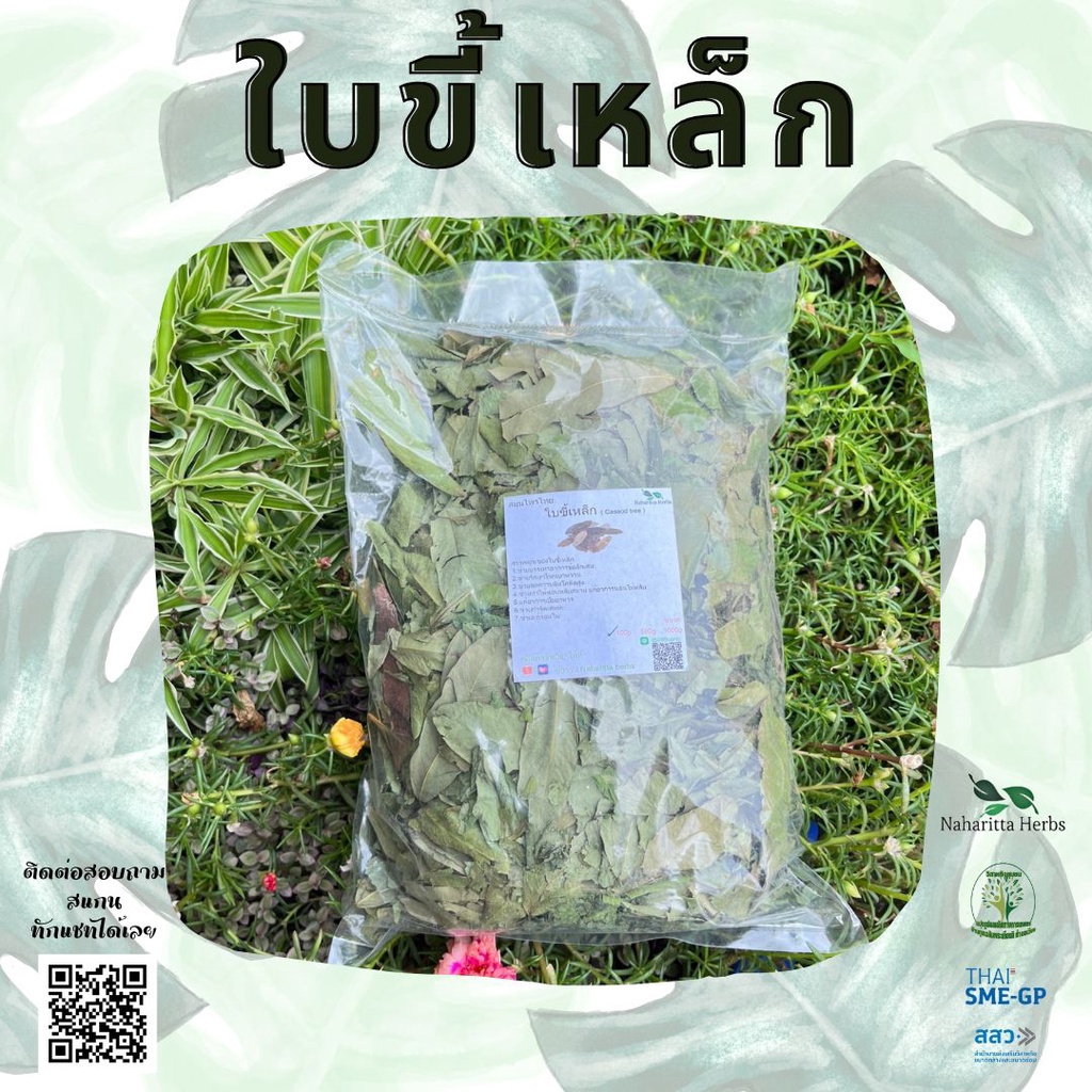 ใบขี้เหล็ก ออร์แกนิค อบแห้ง ขนาด 500กรัม ชาสมุนไพร คัดเกรดคุณภาพดี ปลอดสาร สินค้าคุณภามพร้อมส่ง