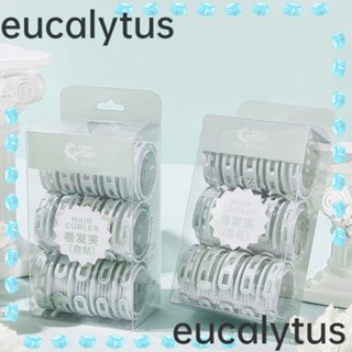 Eucalytus1 ที่ม้วนผม แบบมีกาวในตัว พลาสติก สีเขียว สําหรับจัดแต่งทรงผม DIY