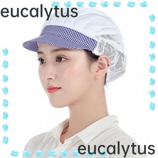 Eucalytus1 หมวกเชฟ กันฝุ่น ระบายอากาศ เก๋ไก๋ ใส่ทํางานได้ โรงงาน สําหรับทําอาหาร